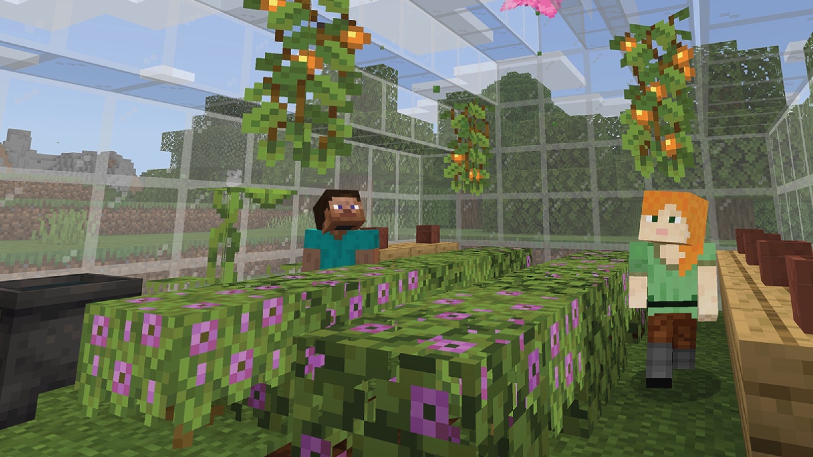 Captura 2 de Minecraft